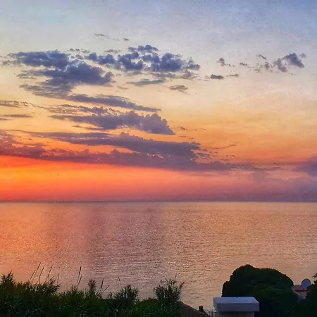 Shabikella Trappeto (Sicily)
